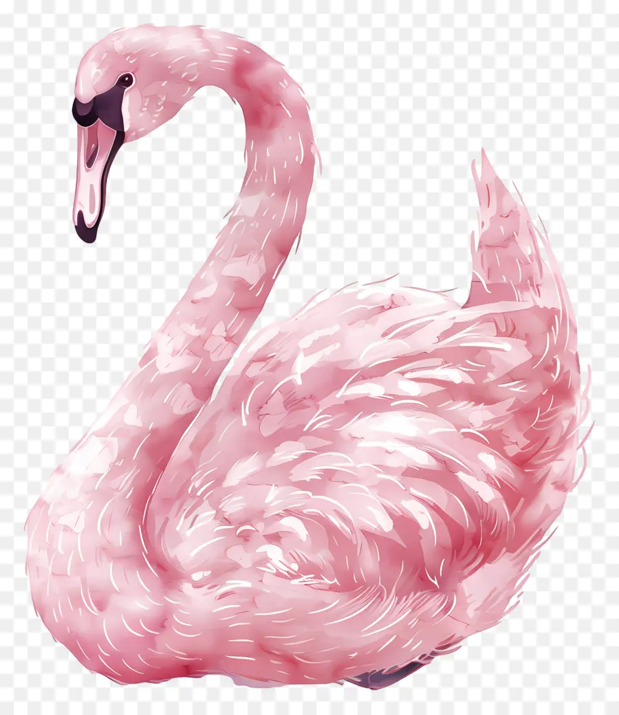 Pembe Kuğu，Kuğu PNG