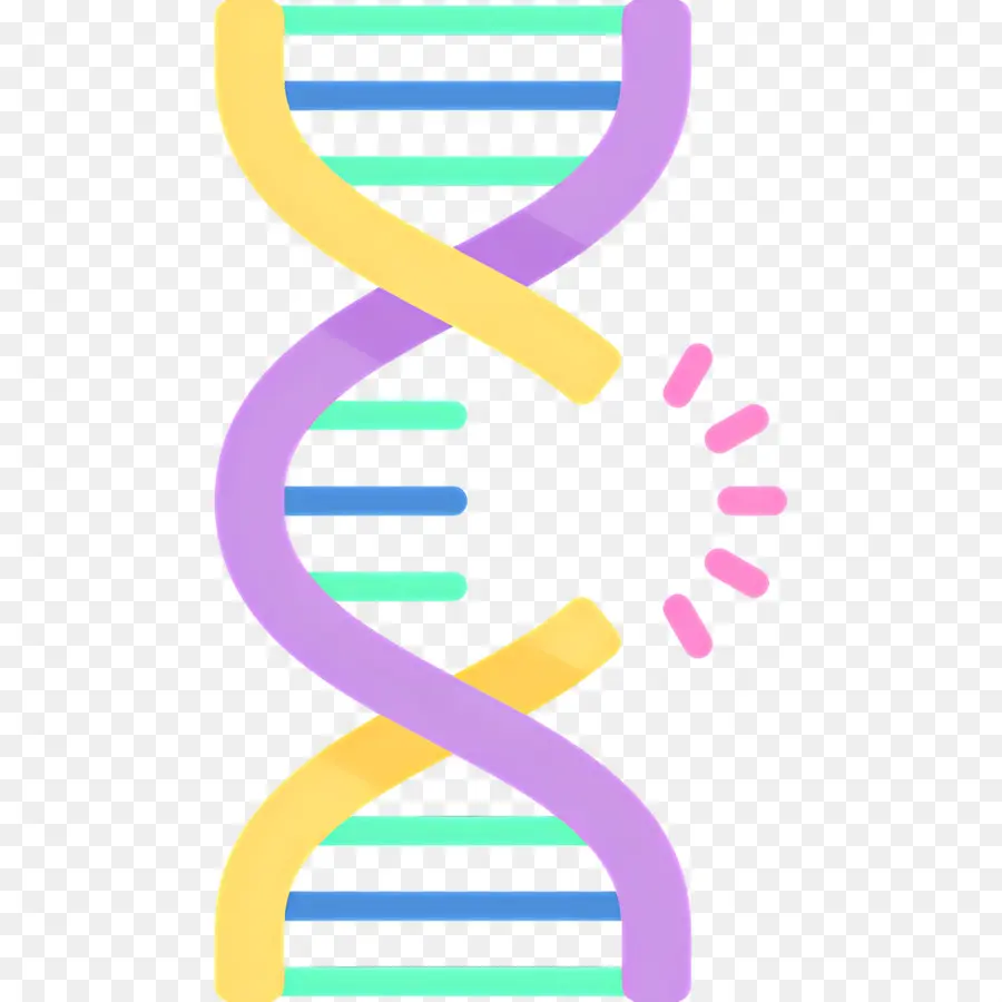 Dna Mutasyonu，Dna İpliği PNG