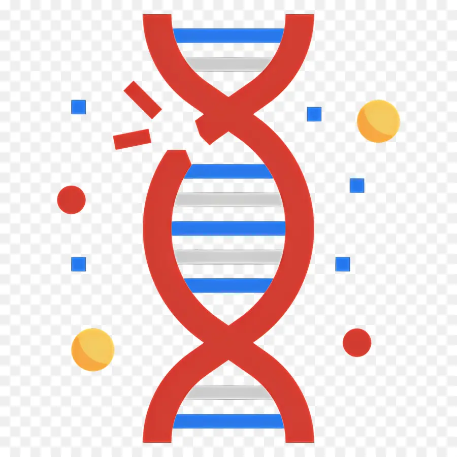 Dna Mutasyonu，Dna PNG