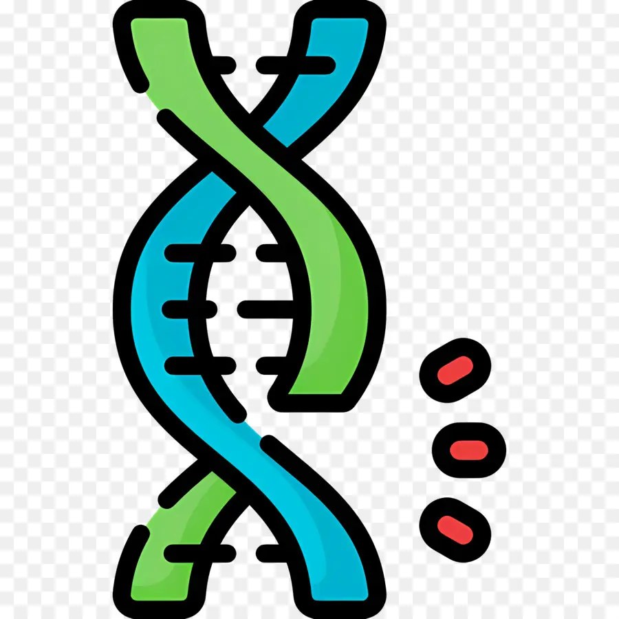 Dna Mutasyonu，Dna İpliği PNG