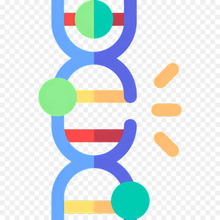 Dna Mutasyonu，Dna İpliği PNG