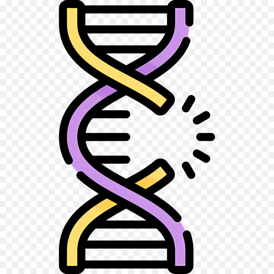 Dna Mutasyonu，Dna PNG