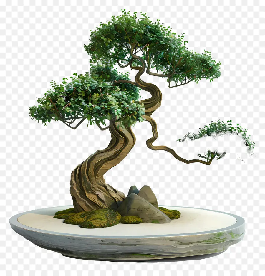 Bonsai Ağacı，Ağaç PNG