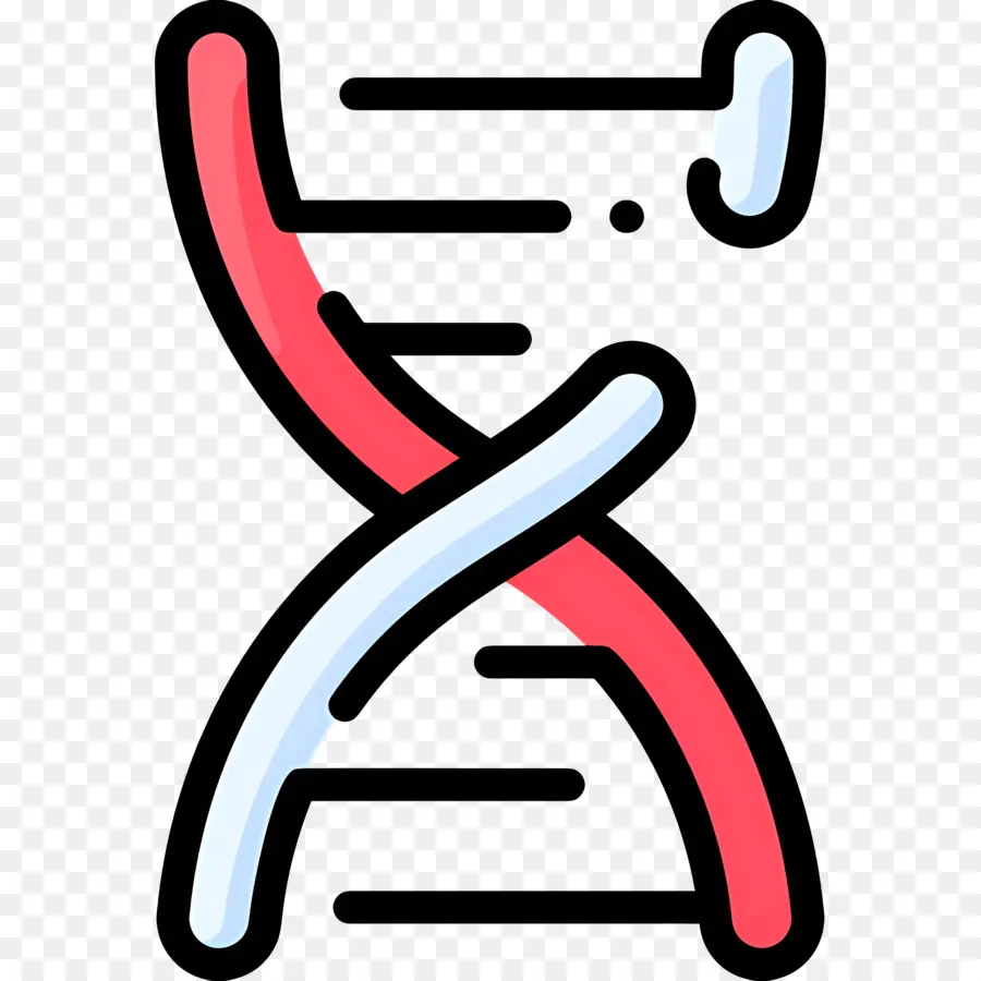 Dna Mutasyonu，Dna PNG