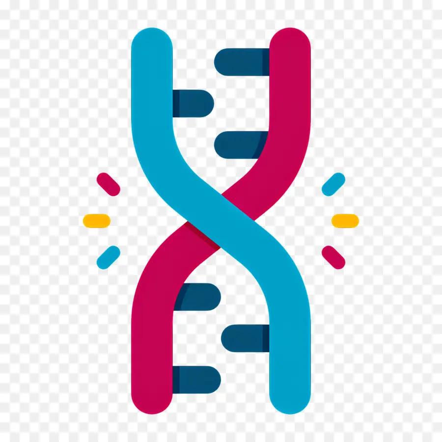 Dna Mutasyonu，Dna İpliği PNG