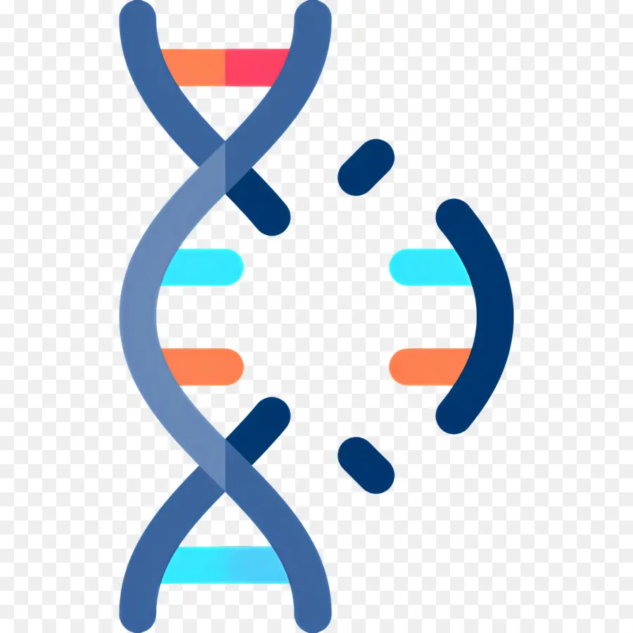 Dna Mutasyonu，Dna PNG