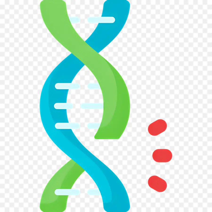 Dna Mutasyonu，Dna İpliği PNG