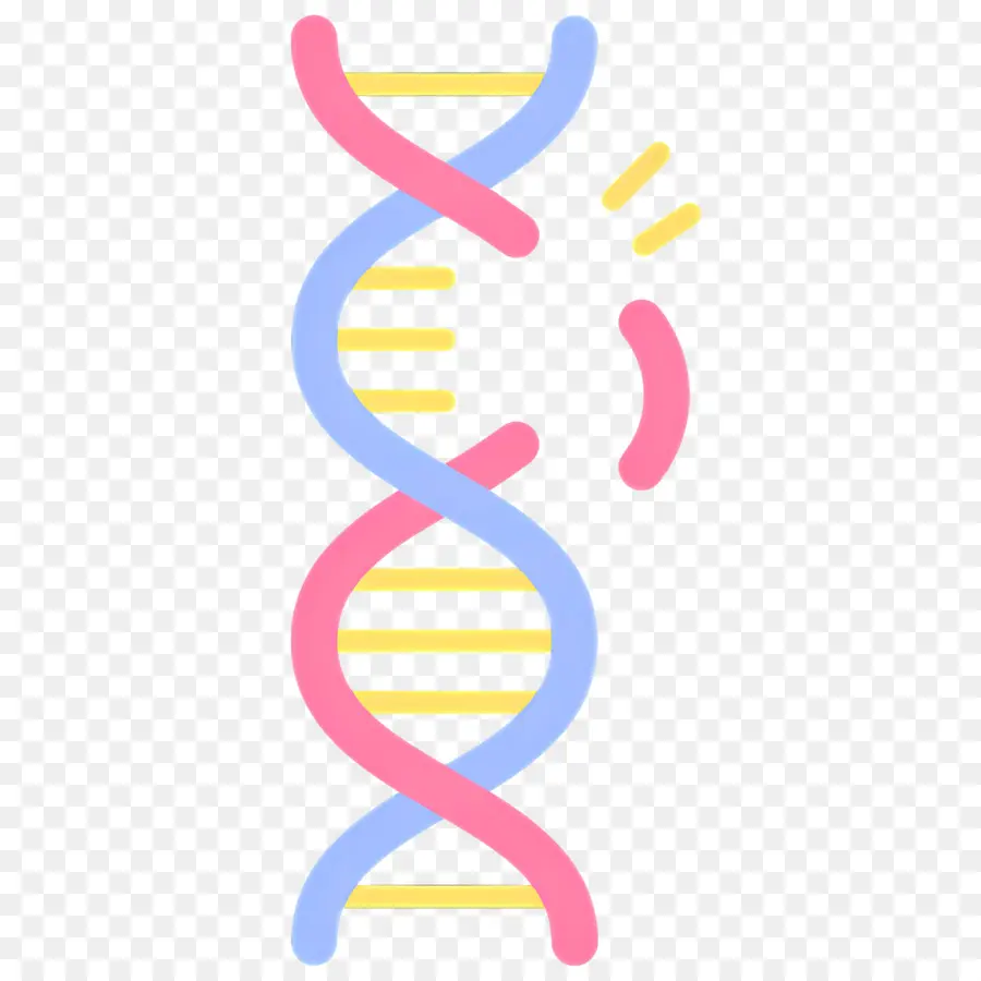 Dna Mutasyonu，Dna İpliği PNG