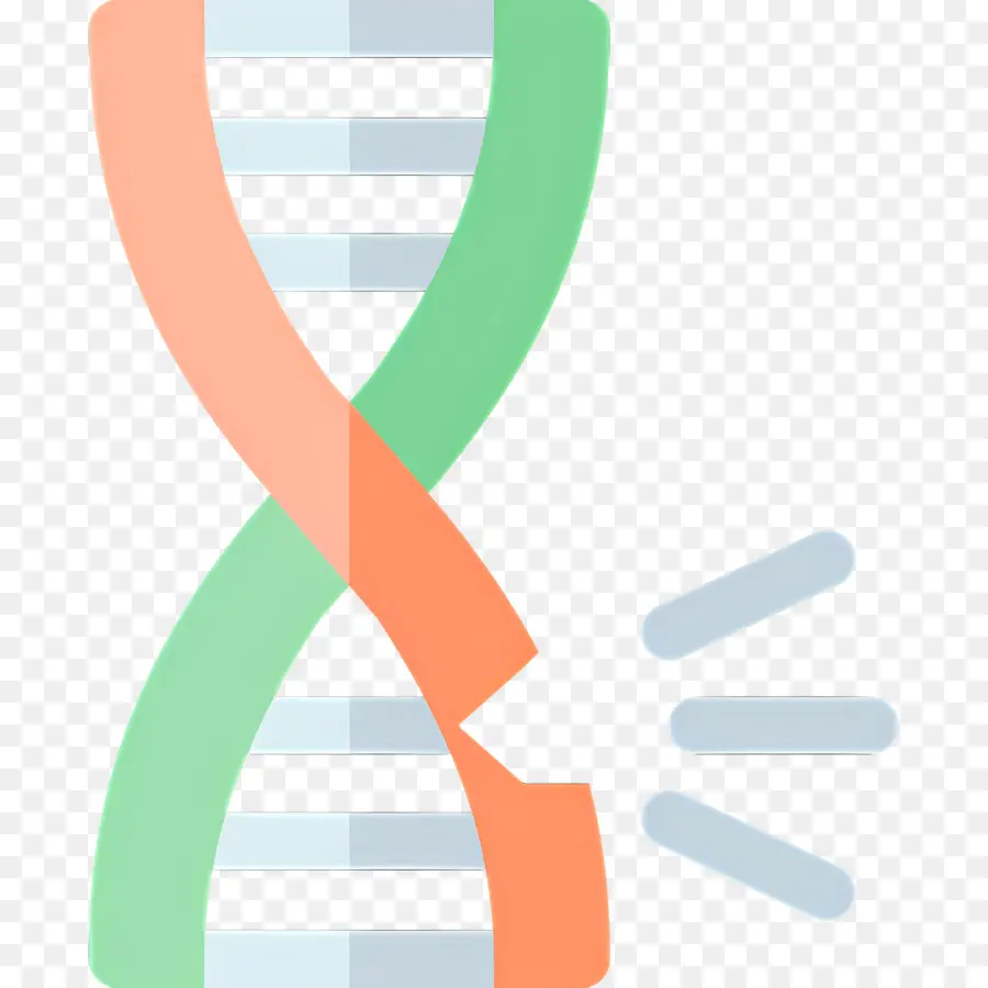 Dna Mutasyonu，Dna İpliği PNG