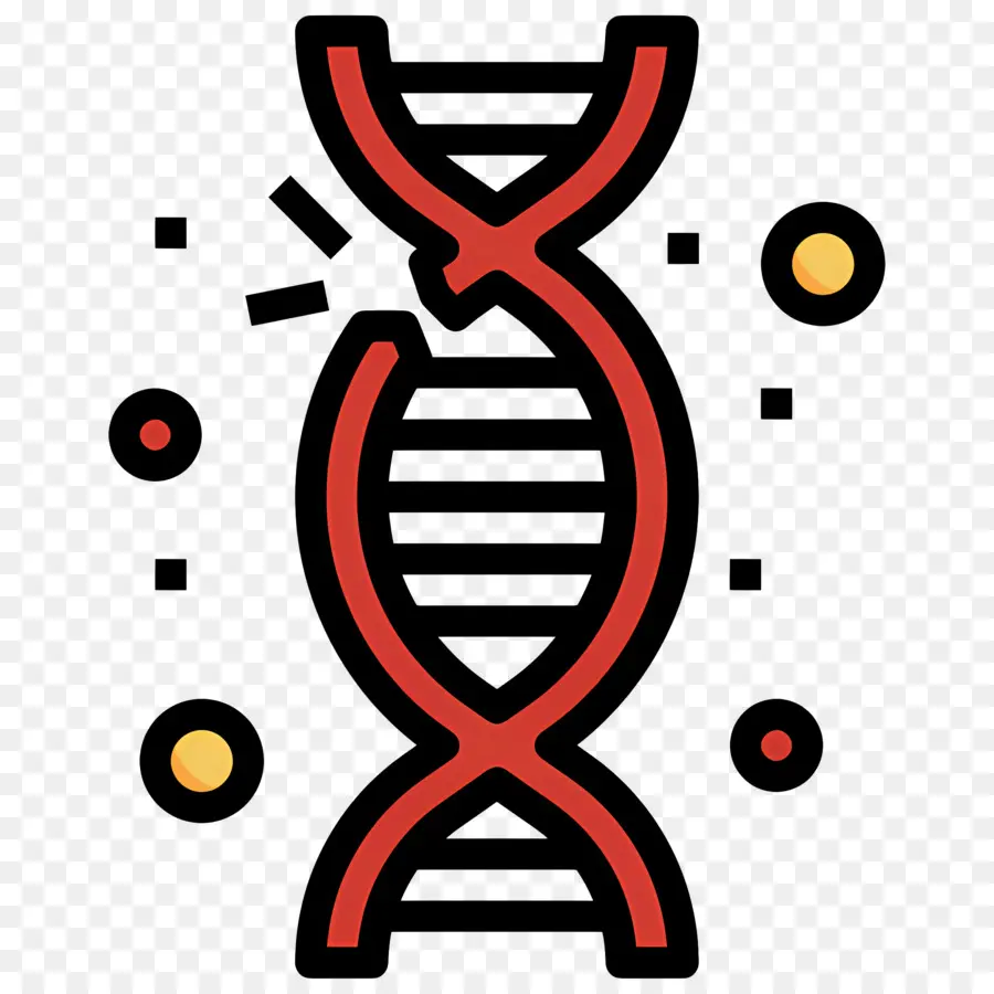 Dna Mutasyonu，Dna PNG