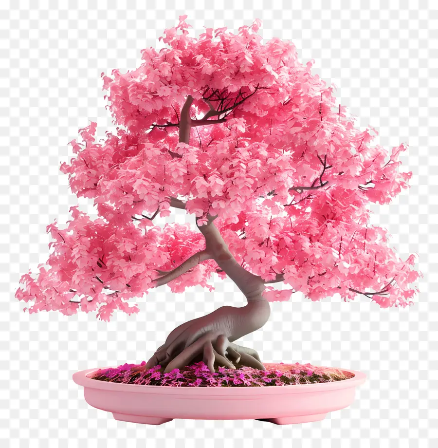 Pembe Bonsai Ağacı，Bonzai PNG