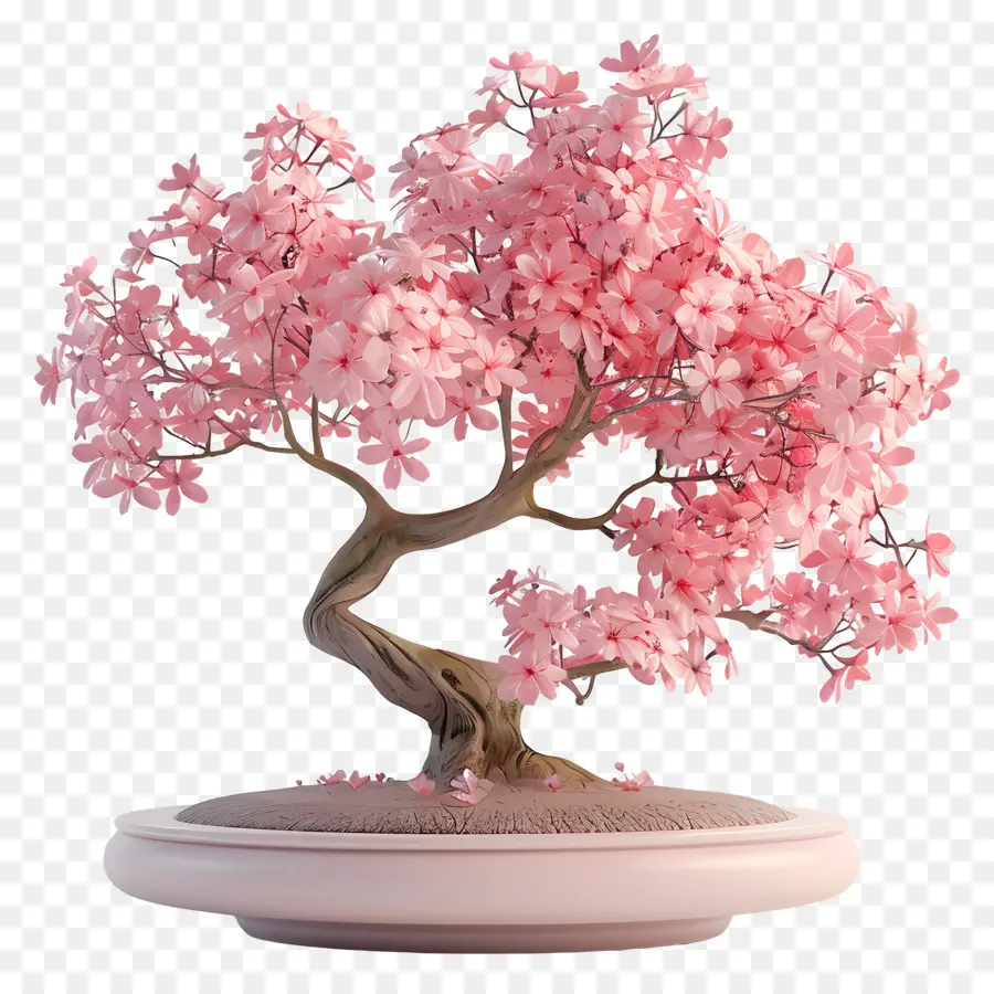 Pembe Bonsai Ağacı，Bonzai PNG