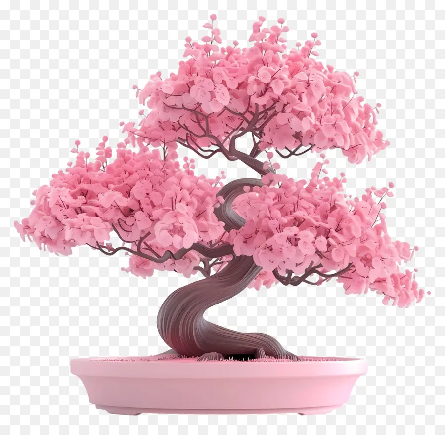 Pembe Bonsai Ağacı，Bonzai PNG