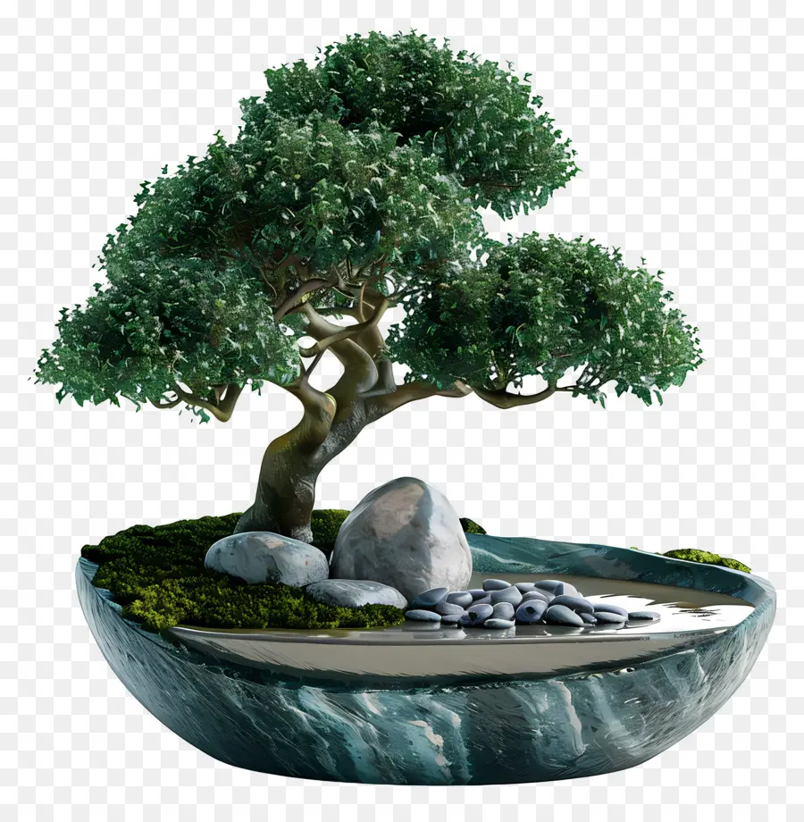 Ficus Bonsai，Bonsai Ağacı PNG