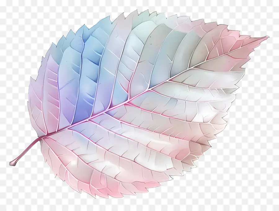 Pastel Yaprak，Renkli Yaprak PNG