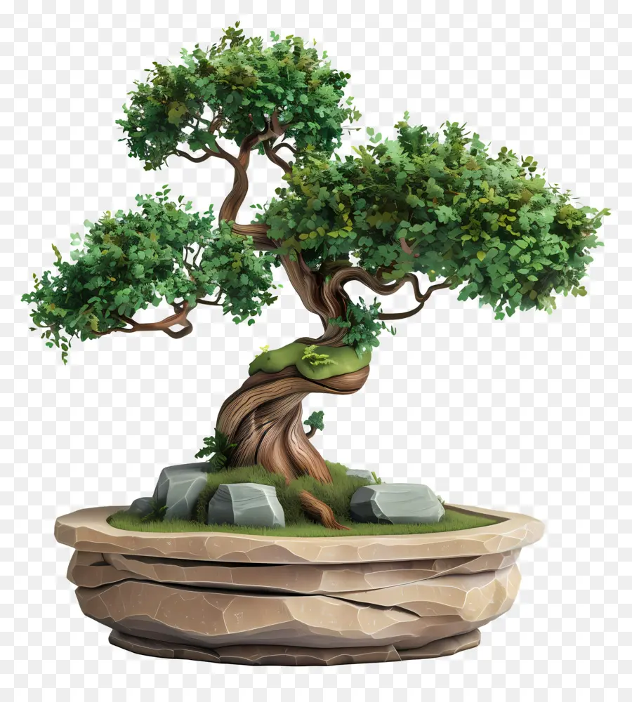 Pohon Bonsai，Ağaç PNG