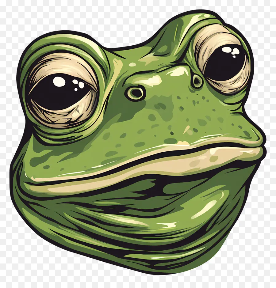 Kurbağa Pepe，Kurbağa PNG