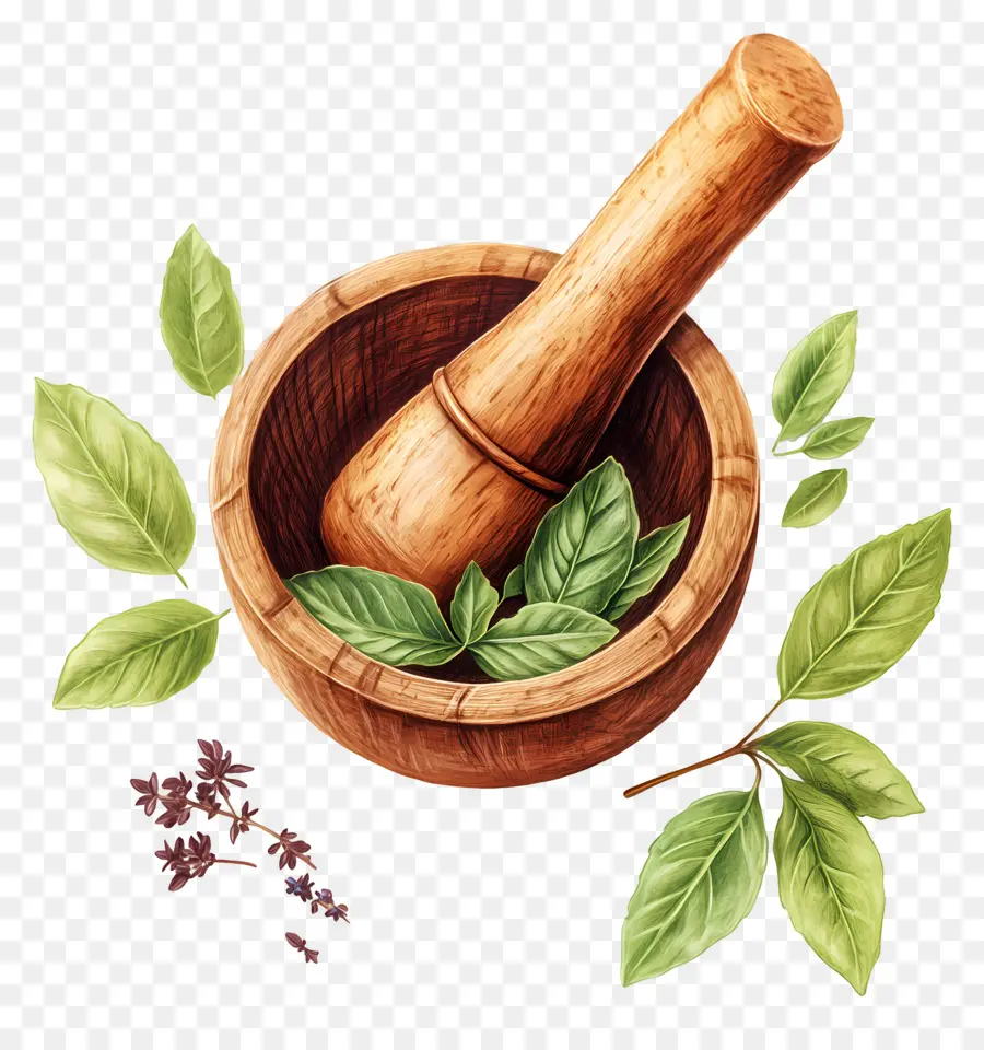 Ayurveda，Harç Ve Havaneli PNG