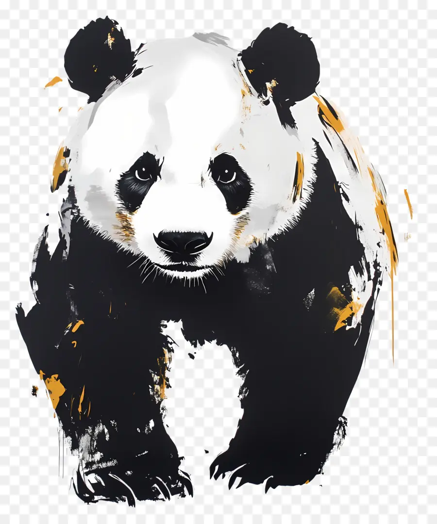 Panda Ayı，Panda PNG