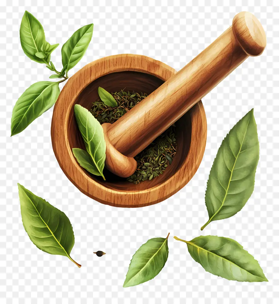 Ayurveda，Harç Ve Havaneli PNG