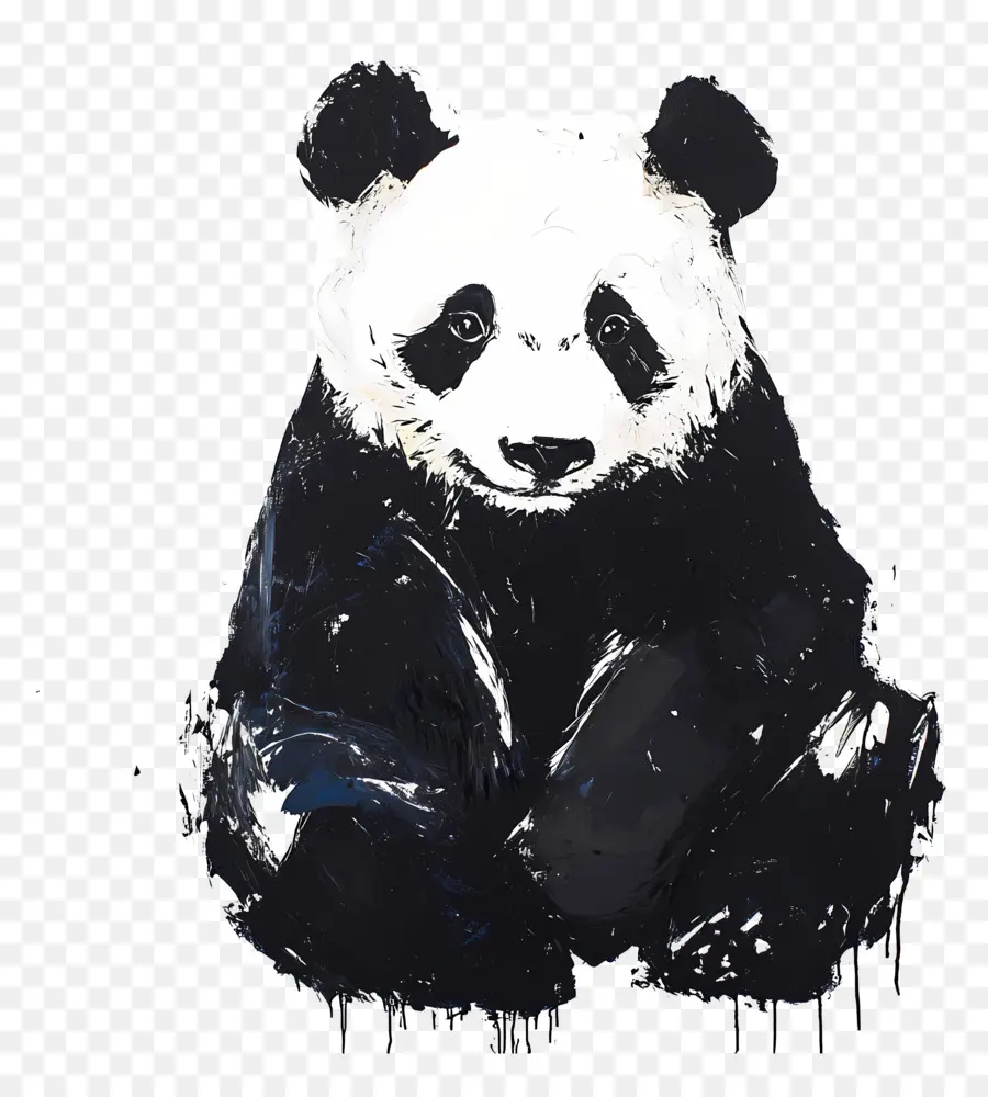 Panda Ayı，Panda PNG