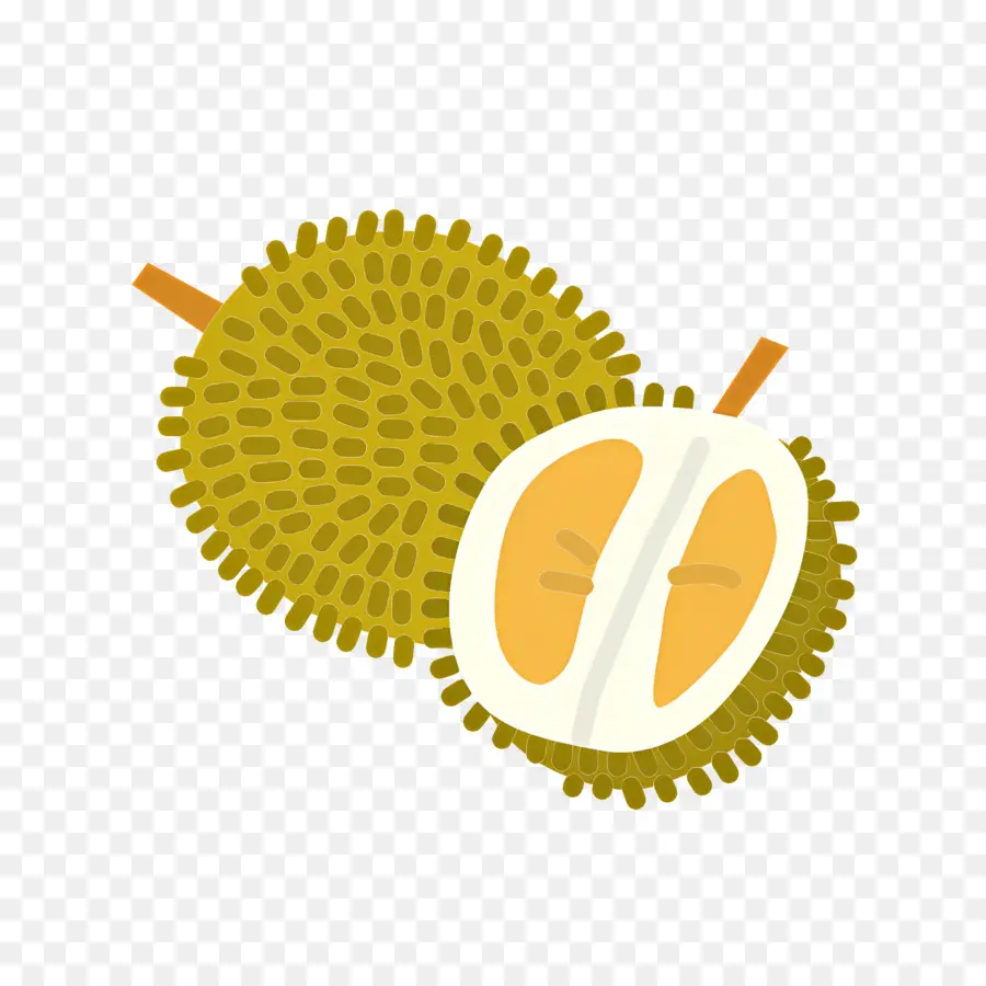 Durian，Durian Meyvesi PNG