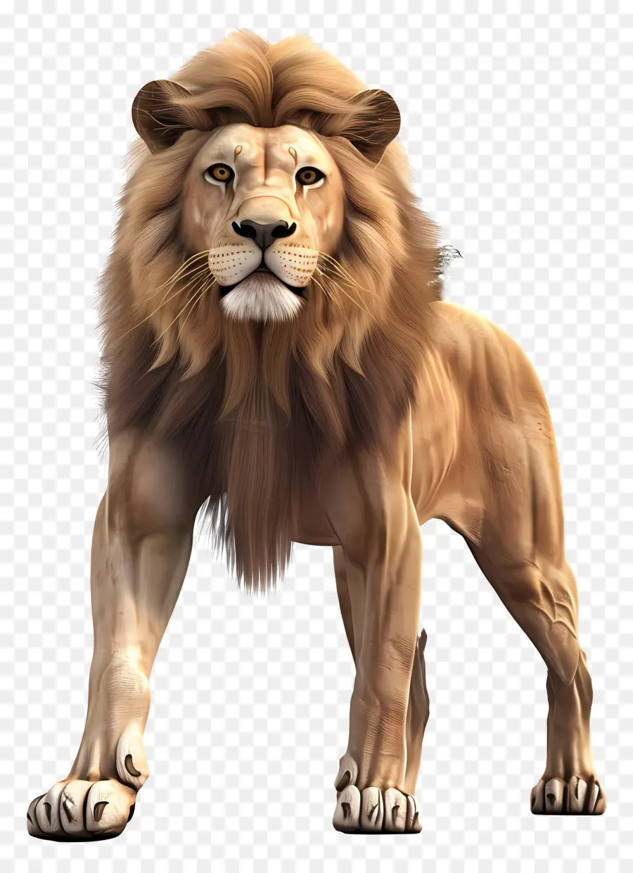 Orman Aslanı，Aslan PNG