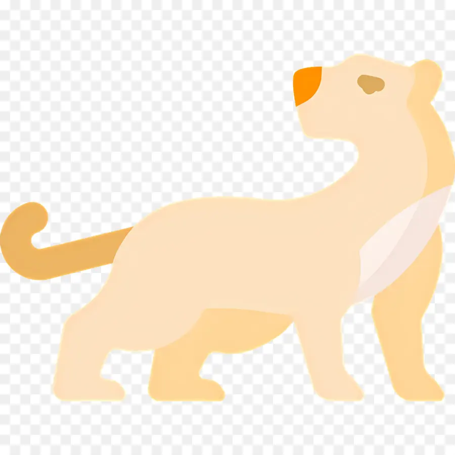 Puma，Aslan PNG