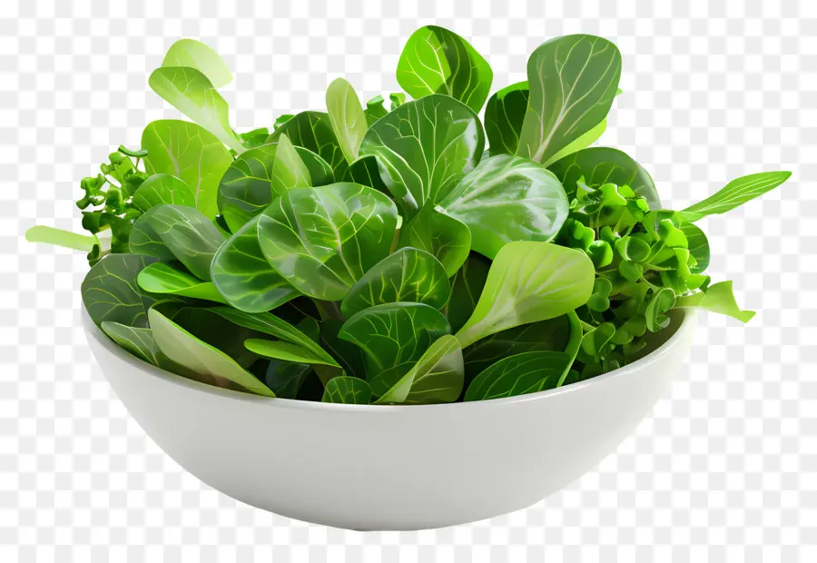 Yeşil Salata，Salata Kasesi PNG