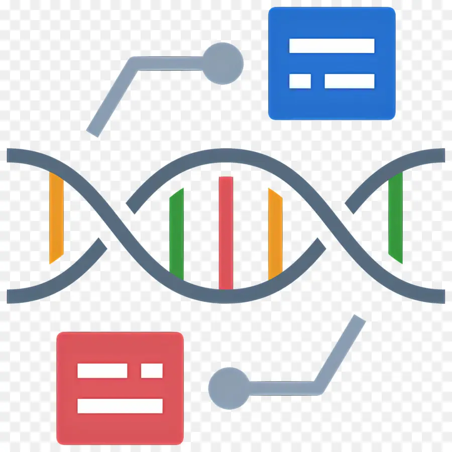 Veri Bilimi，Dna İpliği PNG