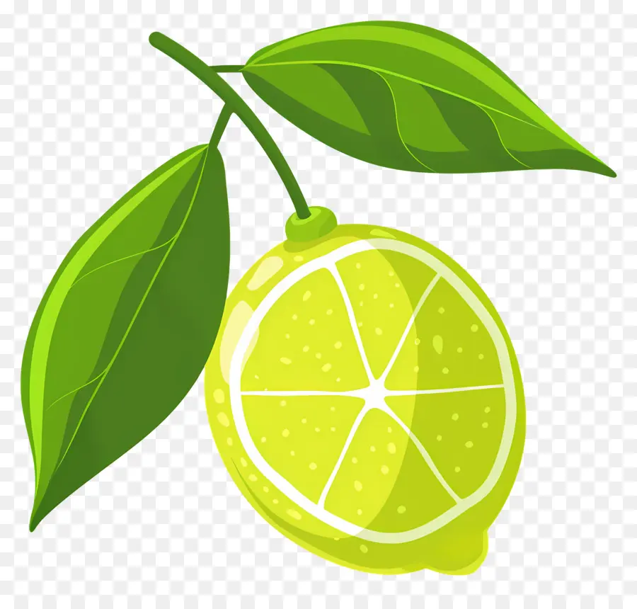 Yeşil Limon，Limon PNG