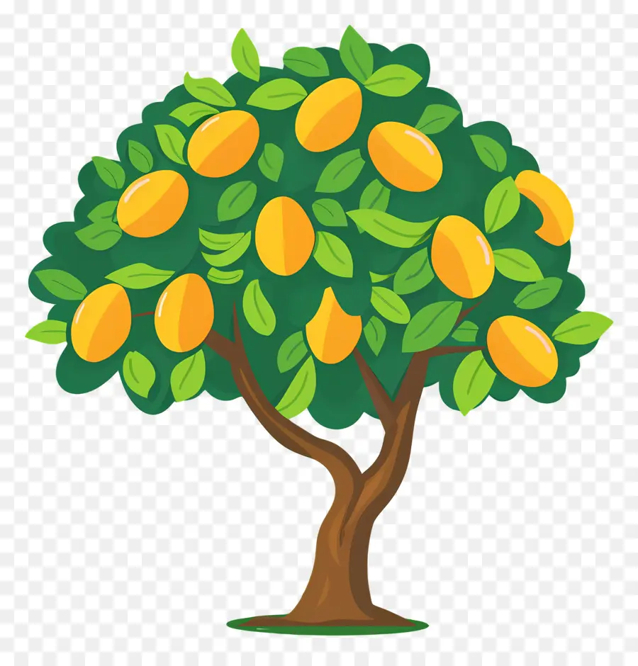 Mango Ağacı，Meyve PNG