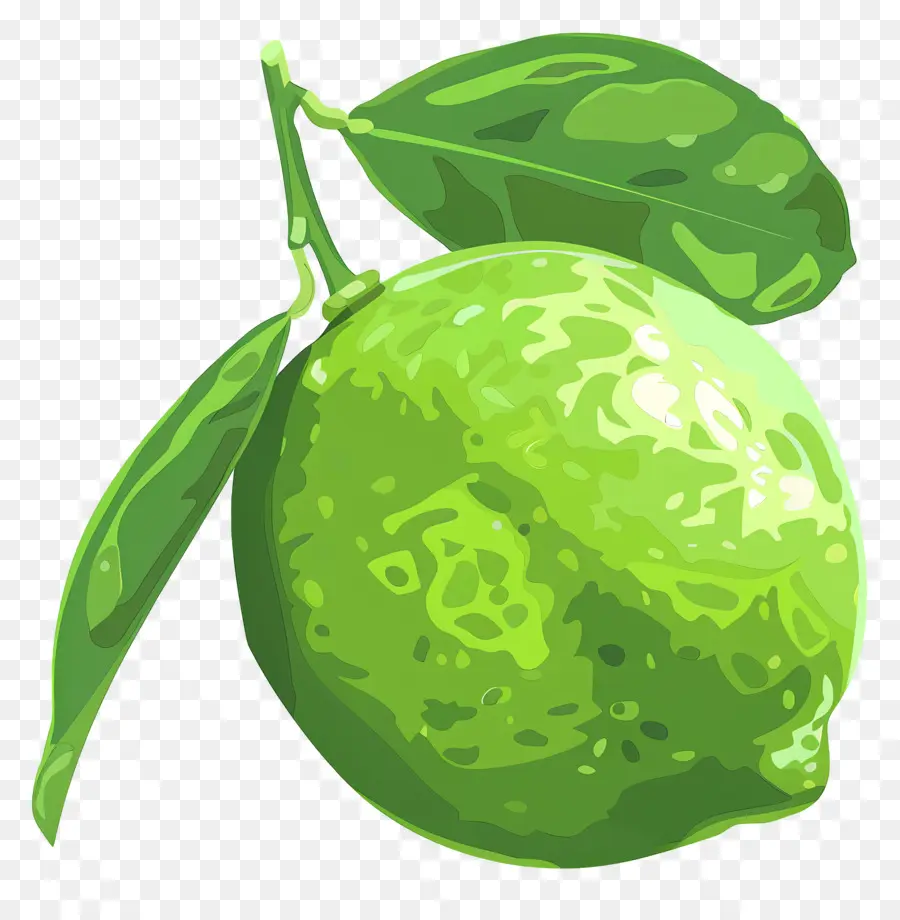 Yeşil Limon，Limon PNG