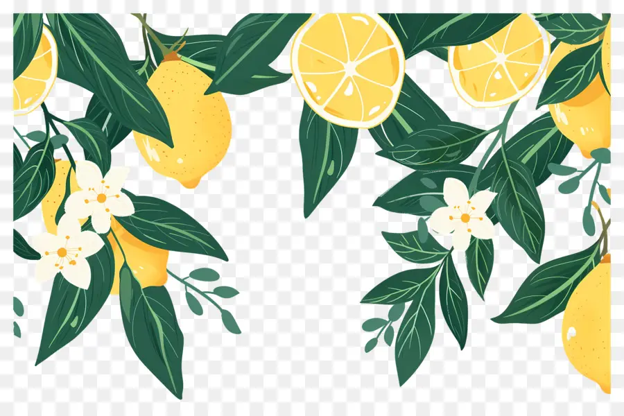 Limonlar，Limon Dalı PNG