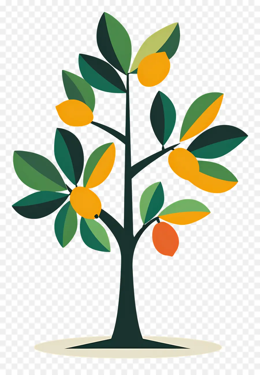 Mango Ağacı，Meyve PNG