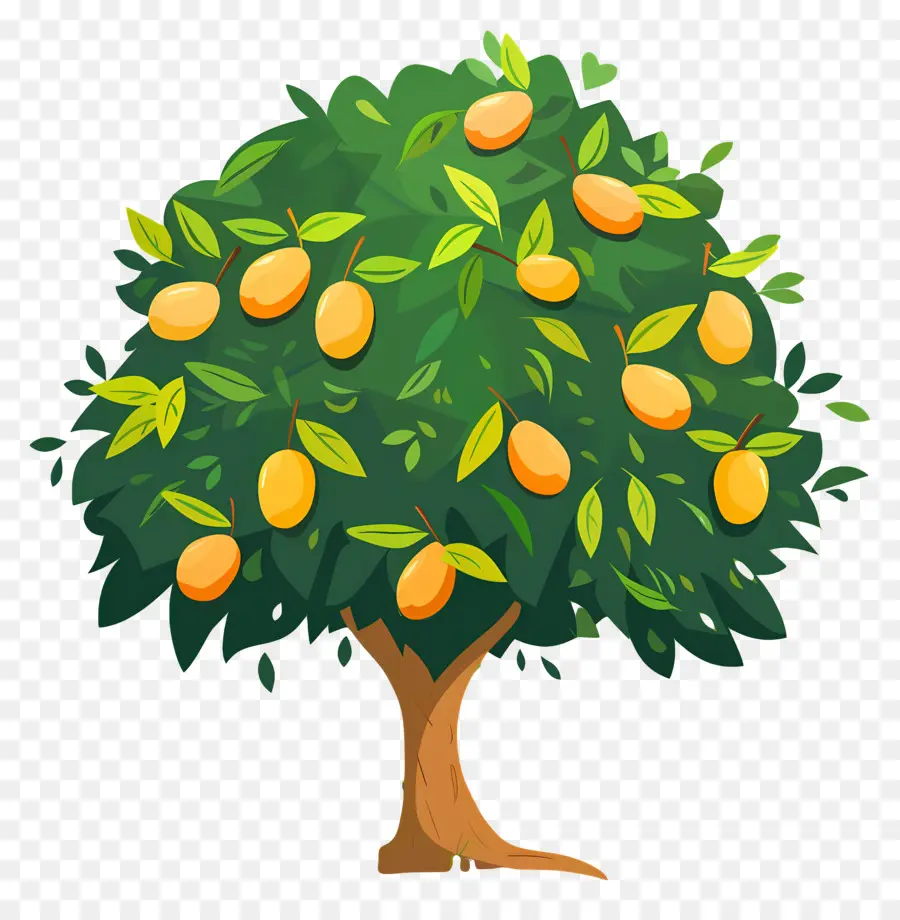 Mango Ağacı，Meyve PNG