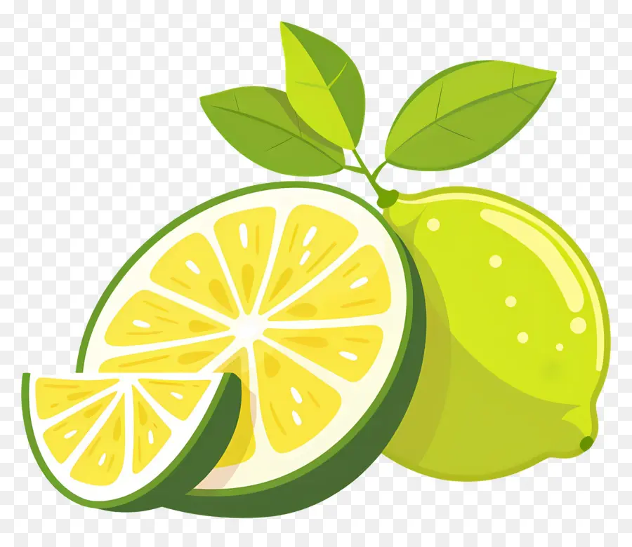 Yeşil Limon，Yeşil Limon Dilim PNG