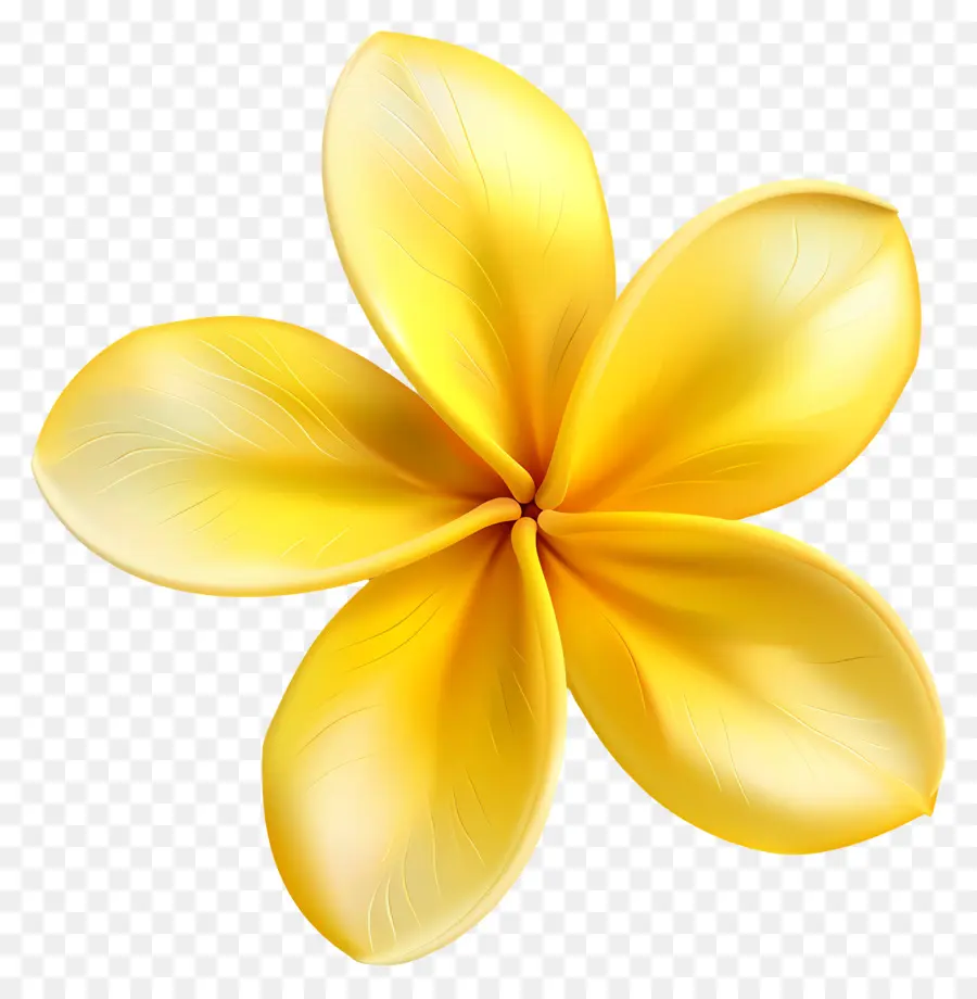 Plumeria çiçeği，Sarı Çiçekler PNG