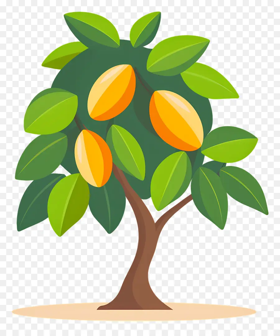 Mango Ağacı，Meyve PNG