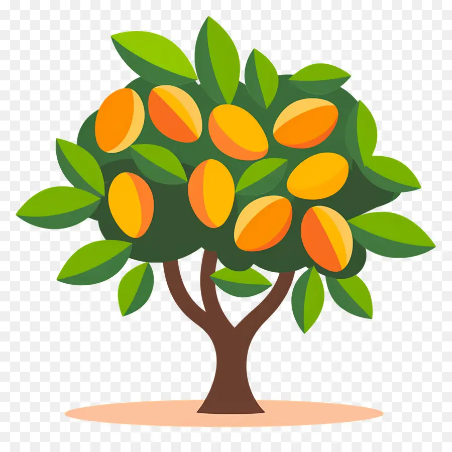 Mango Ağacı，Meyve PNG