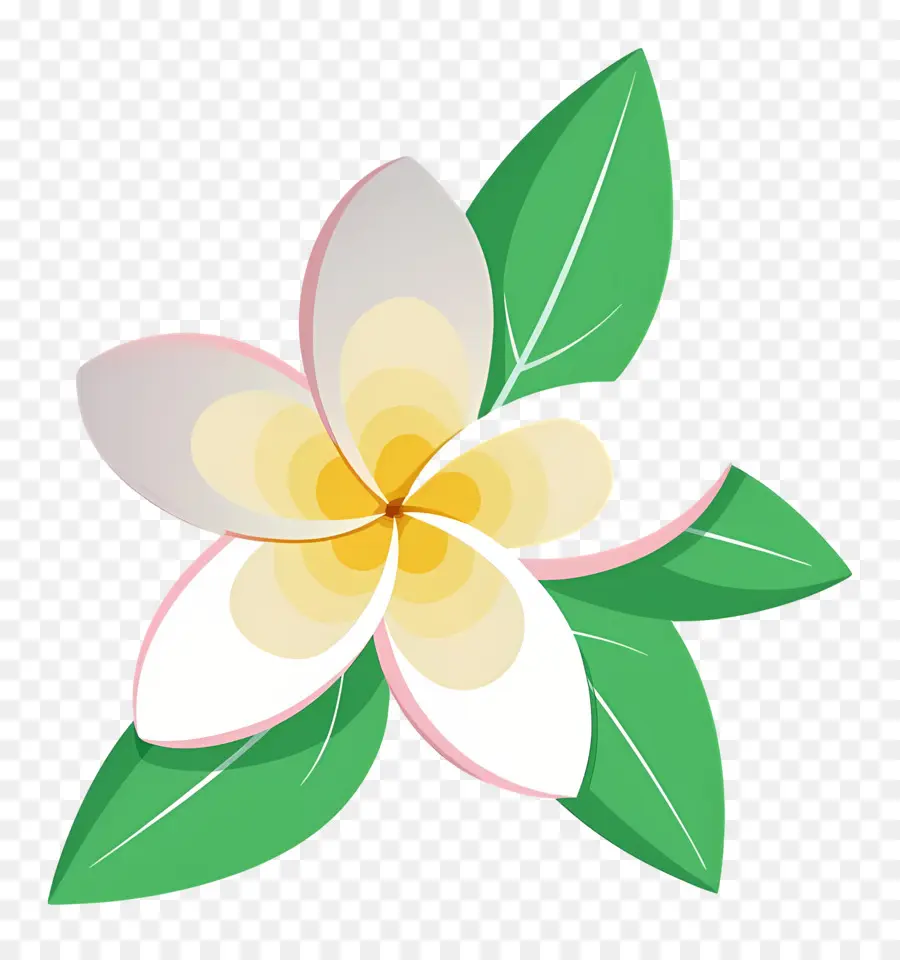 Plumeria çiçeği，Plumeria'nın çiçekleri PNG