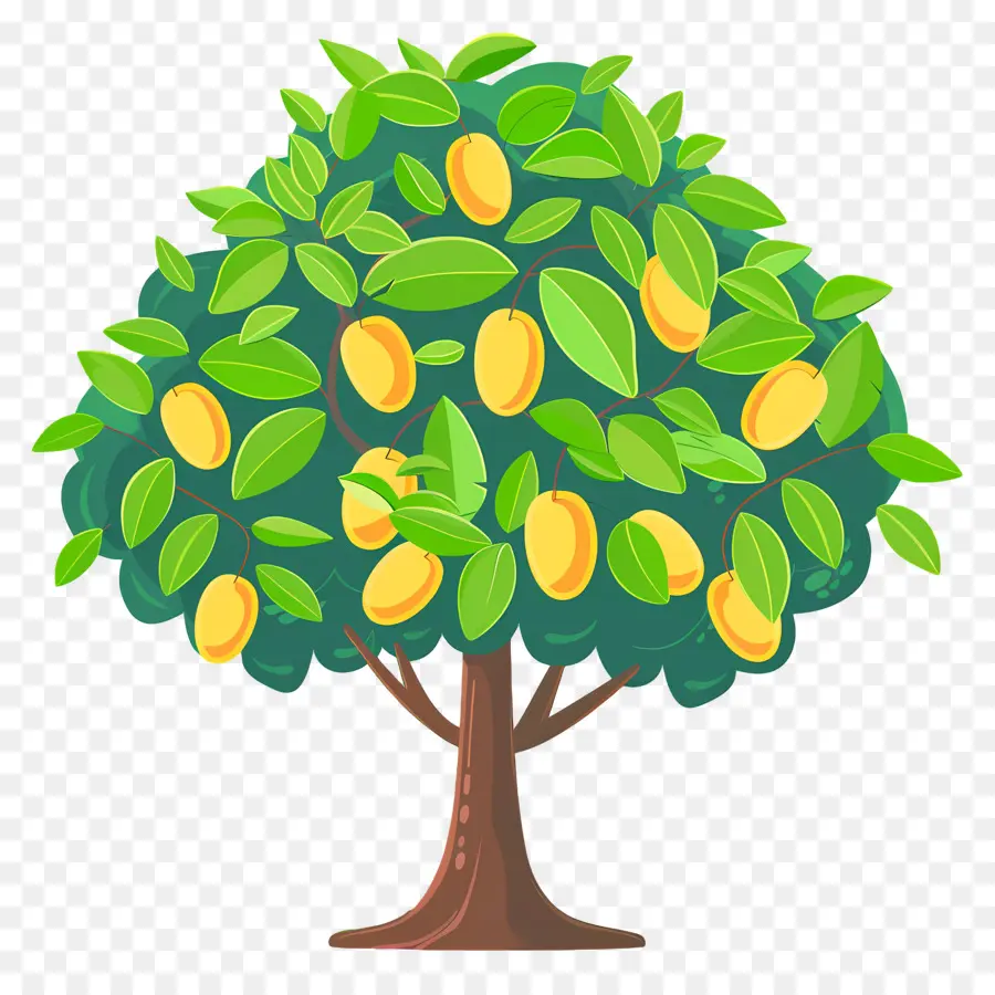 Mango Ağacı，Meyve PNG