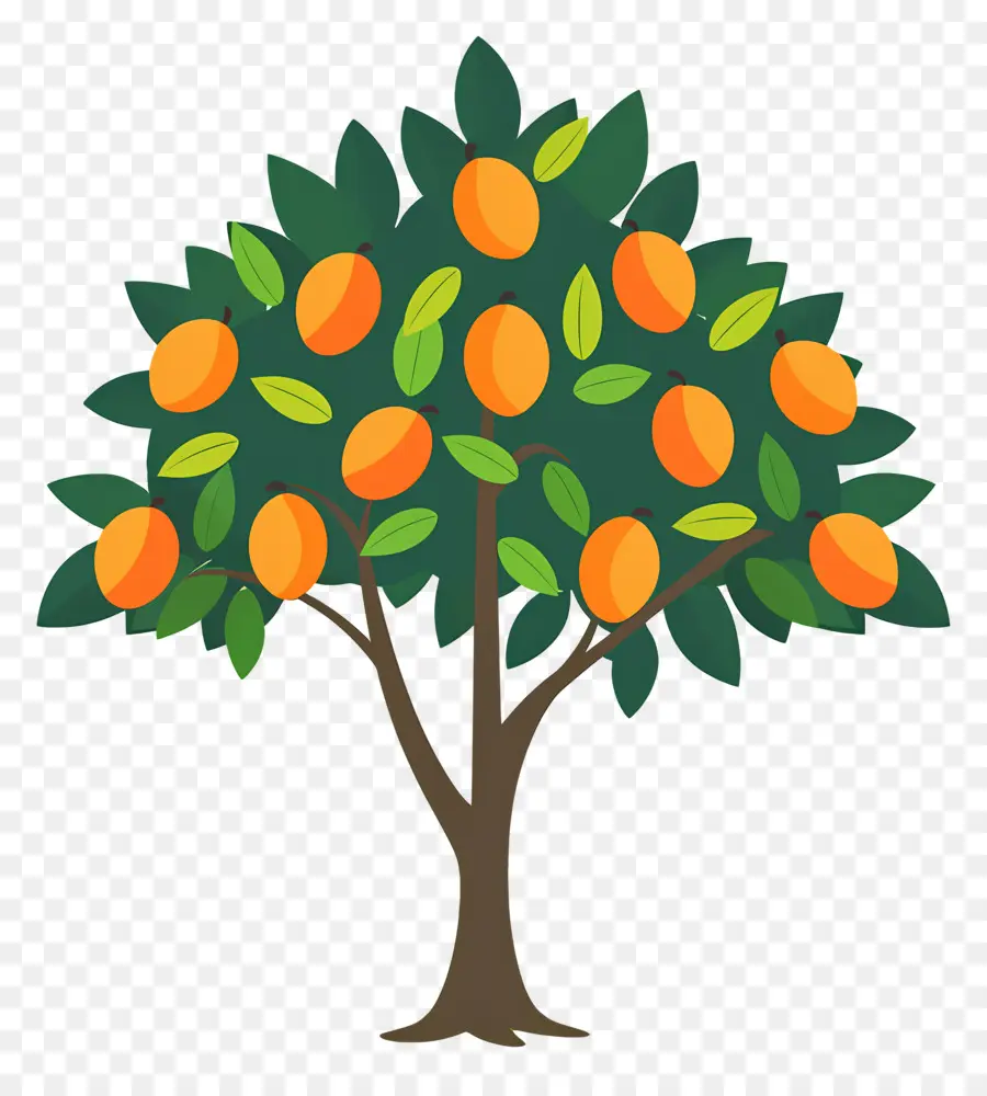 Mango Ağacı，Meyve PNG