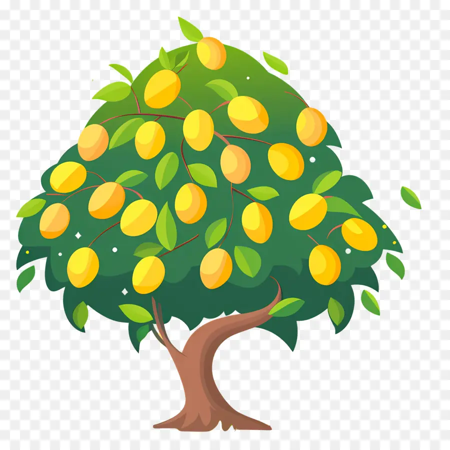 Mango Ağacı，Meyve PNG