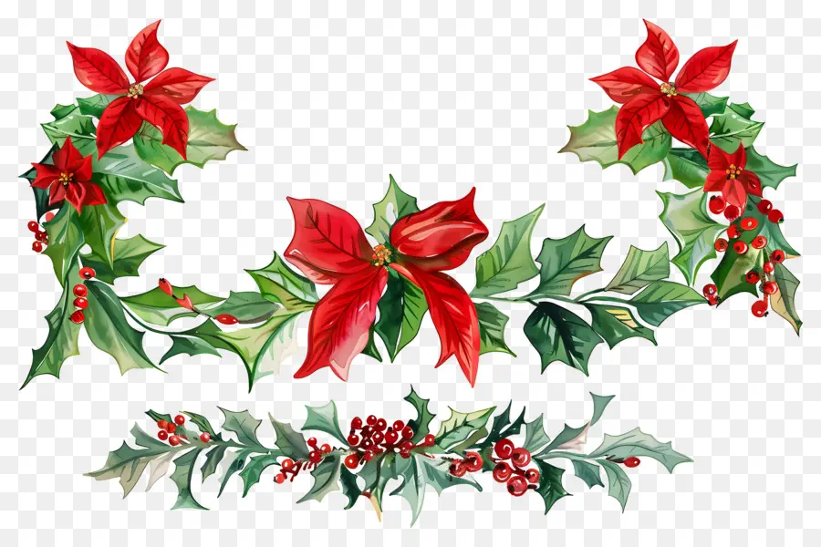 Noel Sınırı，Atatürk çiçeği Ve Holly Garland PNG