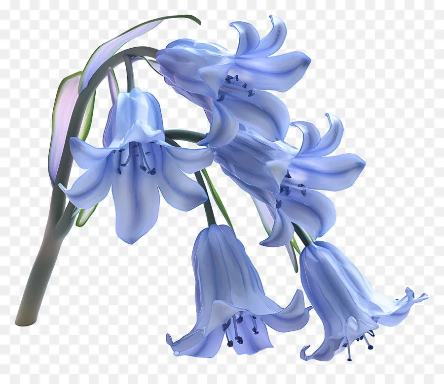 3 Boyutlu çiçek，Bluebell'ler PNG