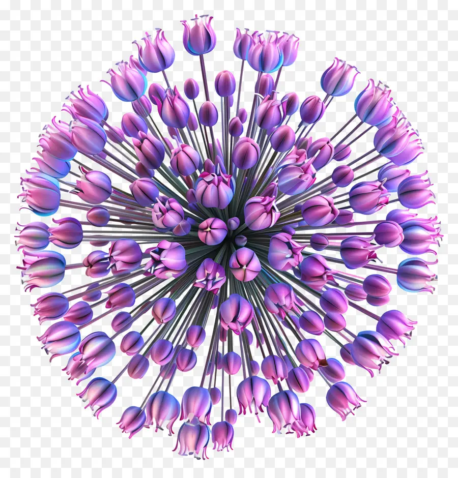 3d Allium çiçeği，Mor Çiçek PNG