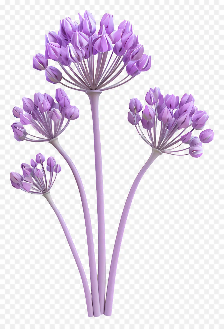 3d Allium çiçeği，Mor Çiçek PNG