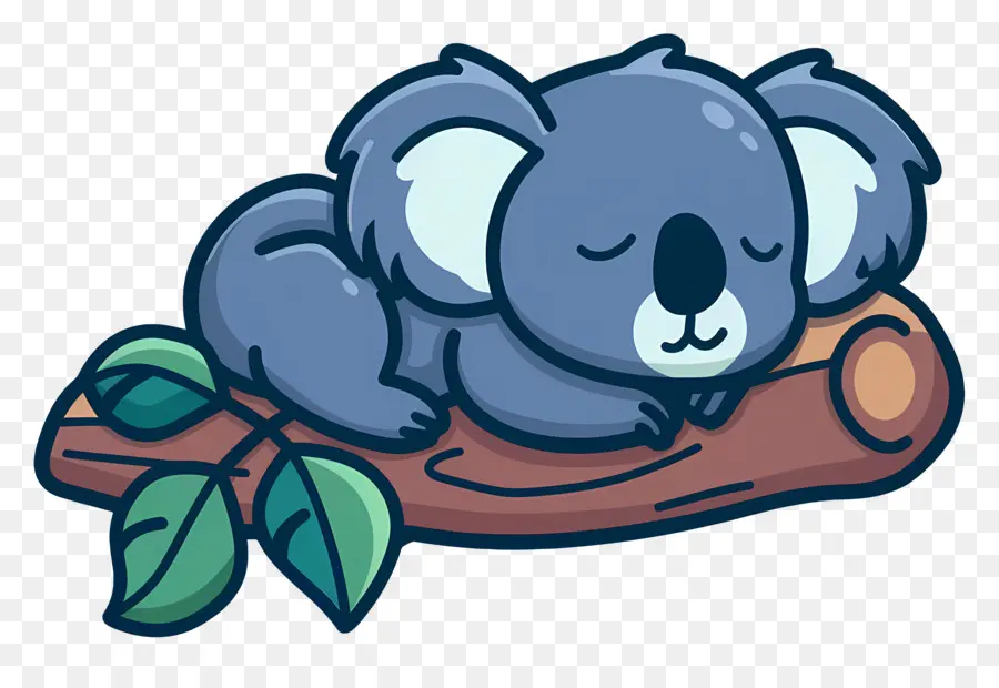 Sevimli Koala，Uyuyan Koala PNG