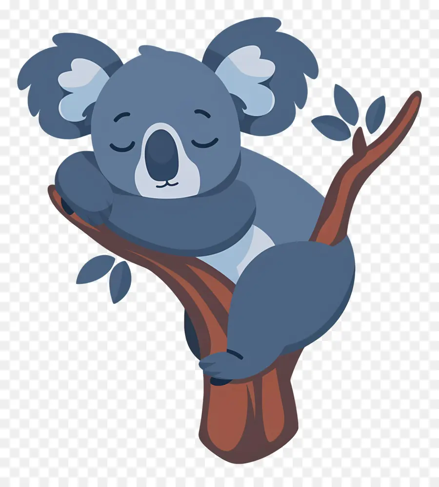 Sevimli Koala，Koala PNG